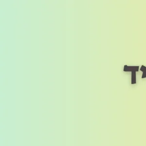 אחסון וזיכרון נייד